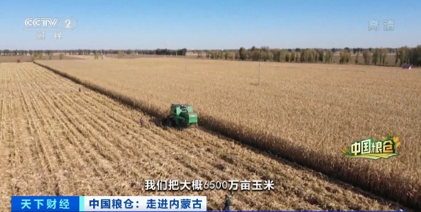 D25170448673448358689 D25170448673448358689